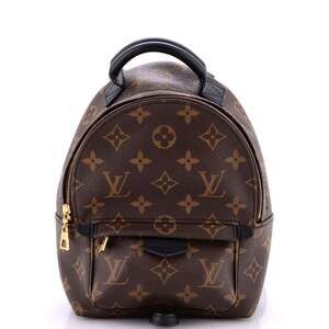 Louis Vuitton Palm Springs Backpack #218043L18B